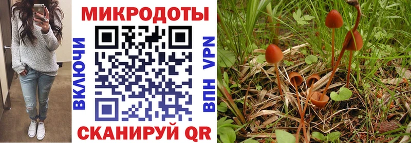 Галлюциногенные грибы прущие грибы Рыльск